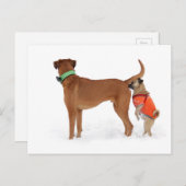 Lustige Kommunikation Geruchssinn Postkarte (Vorne/Hinten)