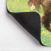 Lustige Kuh Aberdeens Angus Mousepad/Mousemat Mousepad (Ecke)