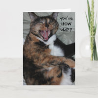 Lustige lachende Katze, Oldtimer-(antiker)