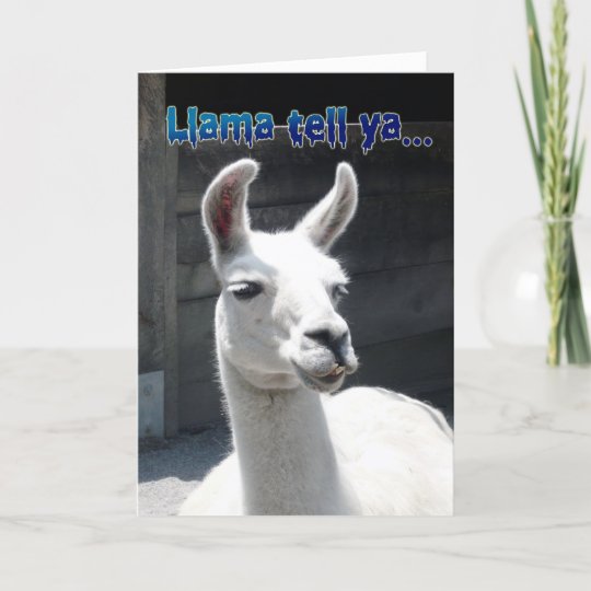 Lama Deko Fur Die Party Zusammenstellen Und Basteln Mit Diesen Ideen
