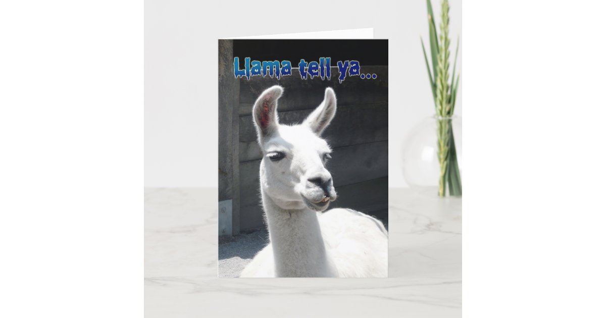 Einladungskarte Lama Lustige Einladungskarten Einladungen Und