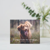 Lustige Lick the Envelope Haustier Weihnachtskarte (Stehend Vorderseite)