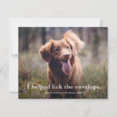 Lustige Lick the Envelope Haustier Weihnachtskarte (Vorderseite)