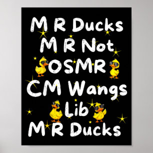 Lustige M R Enten M R Nicht Osmr Cm Wangs Lib M R Poster