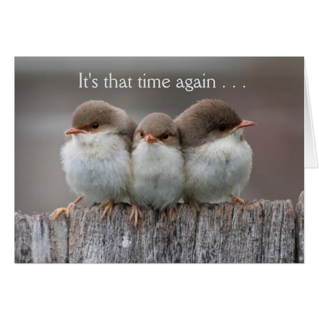 Lustige Mädchen-Nacht heraus kardieren (Vorderseite (Horizontal))