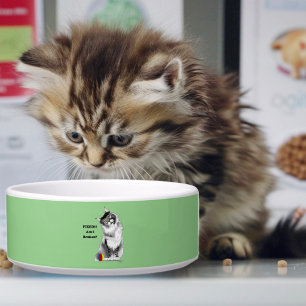 Lustige Maine Coon Katze sterilisiert Napf