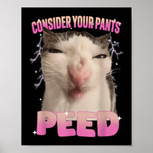 Lustige Männer - Consider Your Pants Peed Silly Ka Poster