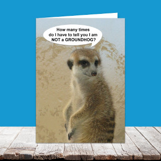 Lustige Meerkat Groundhog Day Karte
