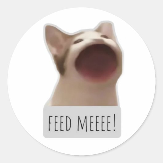 lustige Meme-Katze Runder Aufkleber (Vorderseite)