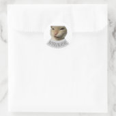 lustige Meme-Katze Runder Aufkleber (Tasche)
