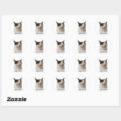 lustige Meme-Katze Runder Aufkleber (Blatt)