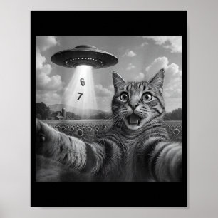 Lustige Meme-Katze Selfie Sechs Sieben Retro-Katze Poster
