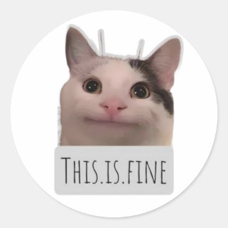 lustige Memekatze Runder Aufkleber