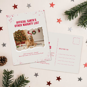 Lustige moderne Fotografie Hund Weihnachten Postka Postkarte