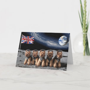 Lustige Mond Yorkies Karte