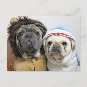 Lustige Mops Yoko und East Karte