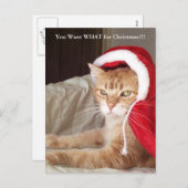 Lustige mürrische feiertagspostkarte (Vorne/Hinten)