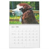 Lustige, niedliche und schöne Tiere - Kalender (Mär 2026)