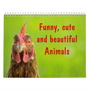 Lustige, niedliche und schöne Tiere - Kalender