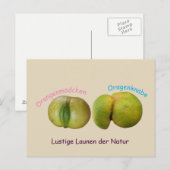 Lustige Orangen Postkarte (Vorne/Hinten)