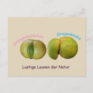 Lustige Orangen Postkarte