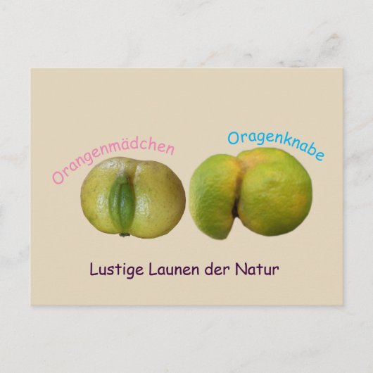 Lustige Orangen Postkarte (Vorderseite)