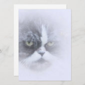 lustige persische Katze mit großen Augen (Vorne/Hinten)