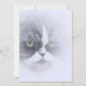 lustige persische Katze mit großen Augen (Vorderseite)