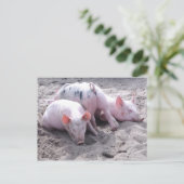 Lustige Postkarte (Stehend Vorderseite)