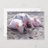 Lustige Postkarte (Vorne/Hinten)