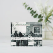 Lustige Postkarte - Pferdeessen (Stehend Vorderseite)