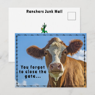 Lustige Ranchers-Junk-Mail-Country-Western-Geschic Postkarte
