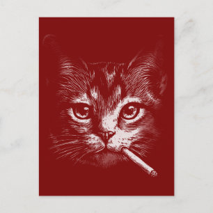 Lustige rauchende Katze Postkarte
