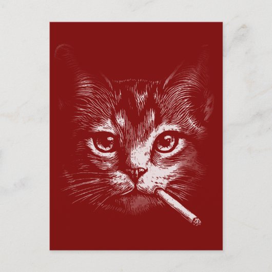 Lustige rauchende Katze Postkarte (Vorderseite)
