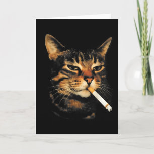 Lustige rauchende Katze Zigarette Kätzchen Meme Du Karte