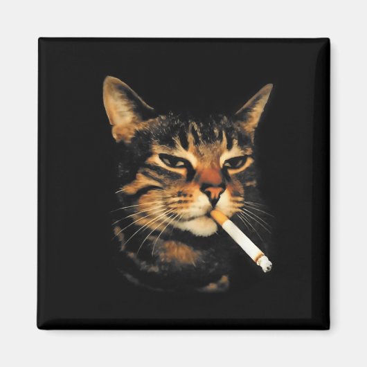 Lustige rauchende Katze Zigarette Kätzchen Meme Du Magnet (Vorne)