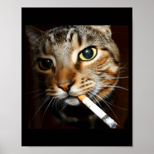 Lustige rauchende Katzen-Meme dunkler Humor sarkas Poster