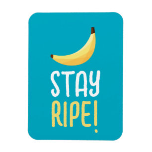 Lustige Retro-Bananen-Partygeschenke-Wortspiele Ed Magnet