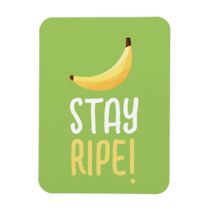 Lustige Retro-Bananen-Partygeschenke-Wortspiele Ed Magnet