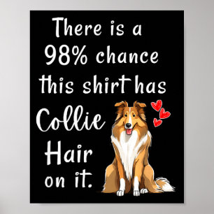 Lustige Rough Collies 98% Wahrscheinlichkeit Shirt Poster