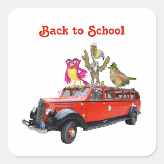 Lustige Rückkehr-zur-Schule-Fahrt Cartoon-Vögel f Quadratischer Aufkleber