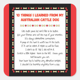 Lustige Sachen I gelernt vom australischen Quadratischer Aufkleber