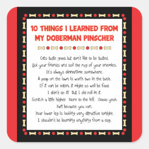 Lustige Sachen I gelernt von meinem Quadratischer Aufkleber