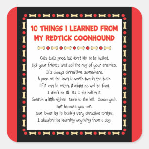 Lustige Sachen I gelernt von meinem Redtick Quadratischer Aufkleber