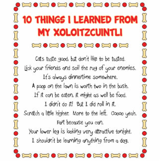 Lustige Sachen I gelernt von meinem Xoloitzcuintli Freistehende Fotoskulptur