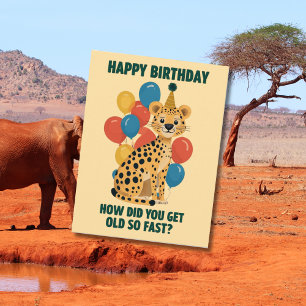 Lustige sarkastische Geburtstagsnachrichten & Alte Postkarte