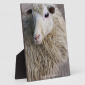 Lustige Schafe Fotoplatte (Seite)