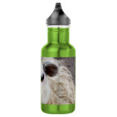 Lustige Schafe Trinkflasche (Rechts)