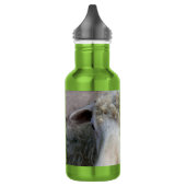 Lustige Schafe Trinkflasche (Links)