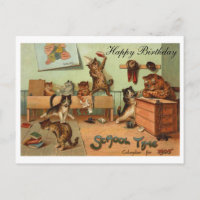 Lustige Schulanthropomorphe Katzen Alles Gute zum 